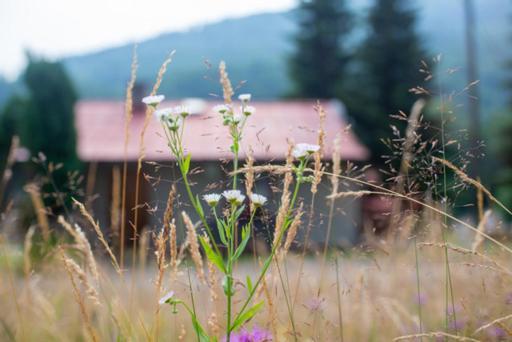 Bungalovy U Haliny - Tyra Natura Ferienhaus *